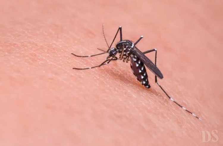 Município já confirmou uma morte por chikungunya