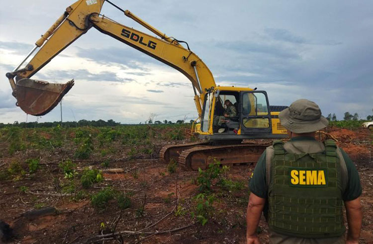 Operação Amazônia colocou 200 servidores em campo